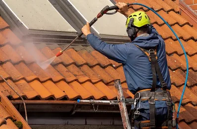 Démoussage et hydrofuge de toiture à Aiguilles